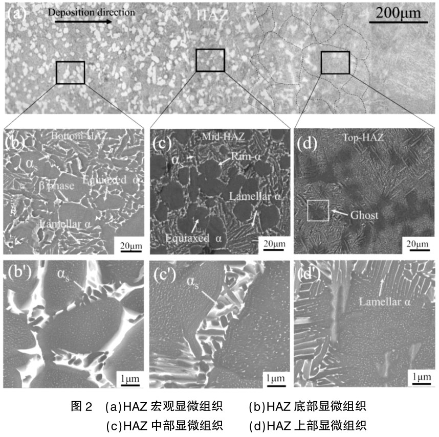 TC4鈦合金激光增材復(fù)合制造研究進(jìn)展