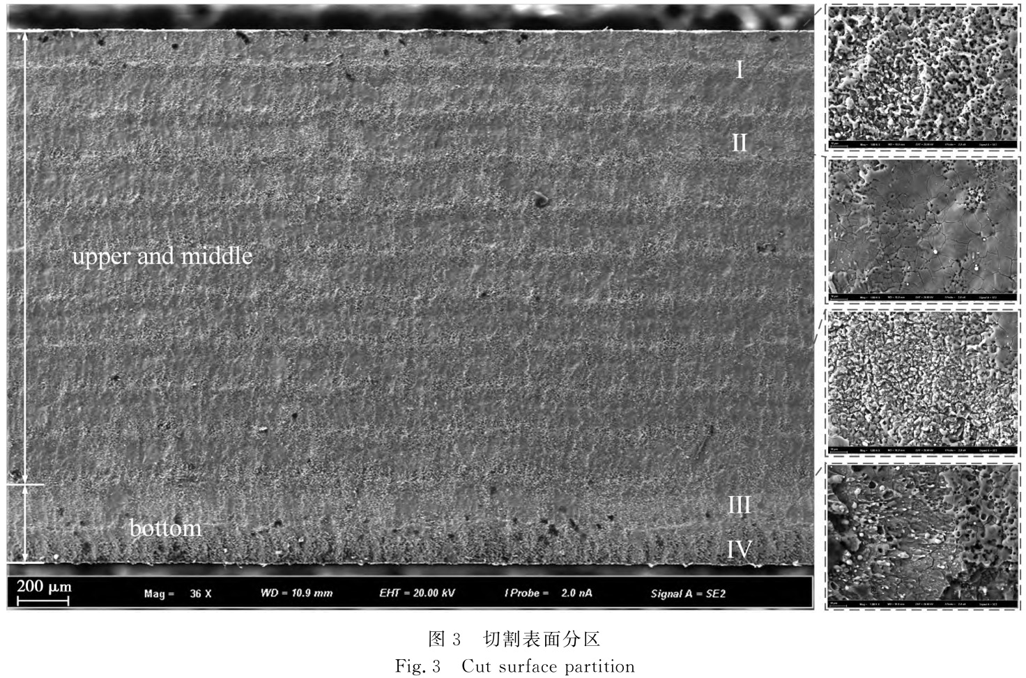 水導(dǎo)激光切割TC4鈦合金板表面形貌特征分析