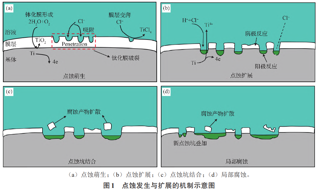 鈦鍛件鈦棒鈦板等鈦合金材料的局部腐蝕類型及防護(hù)措施