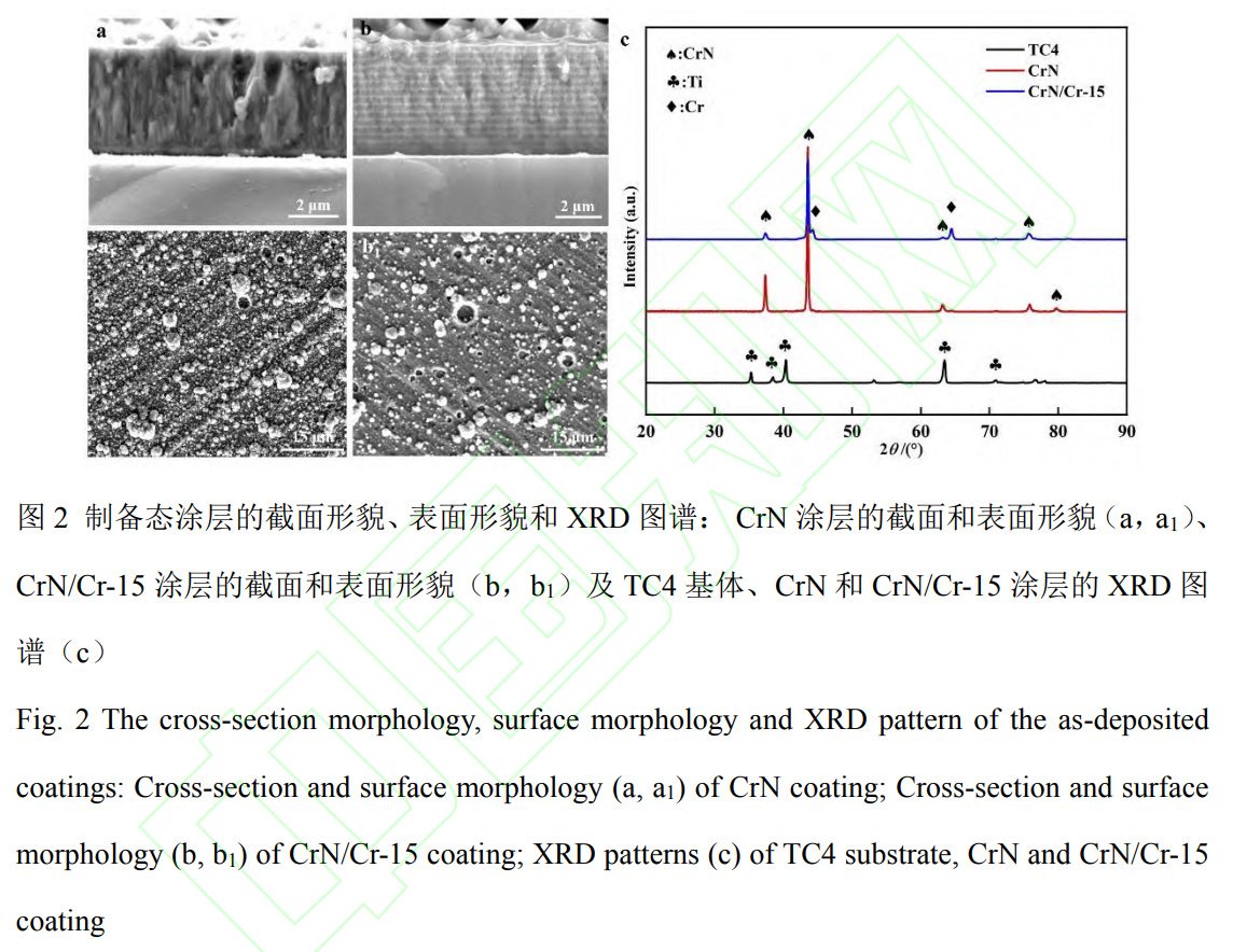 Ti-6Al-4V合金及其表面CrNCr涂層熱腐蝕行為研究