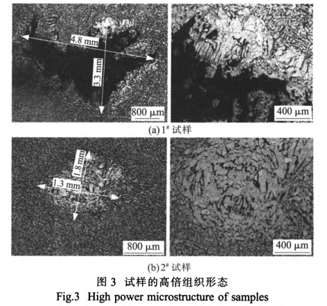 試樣的高倍組織形態(tài)