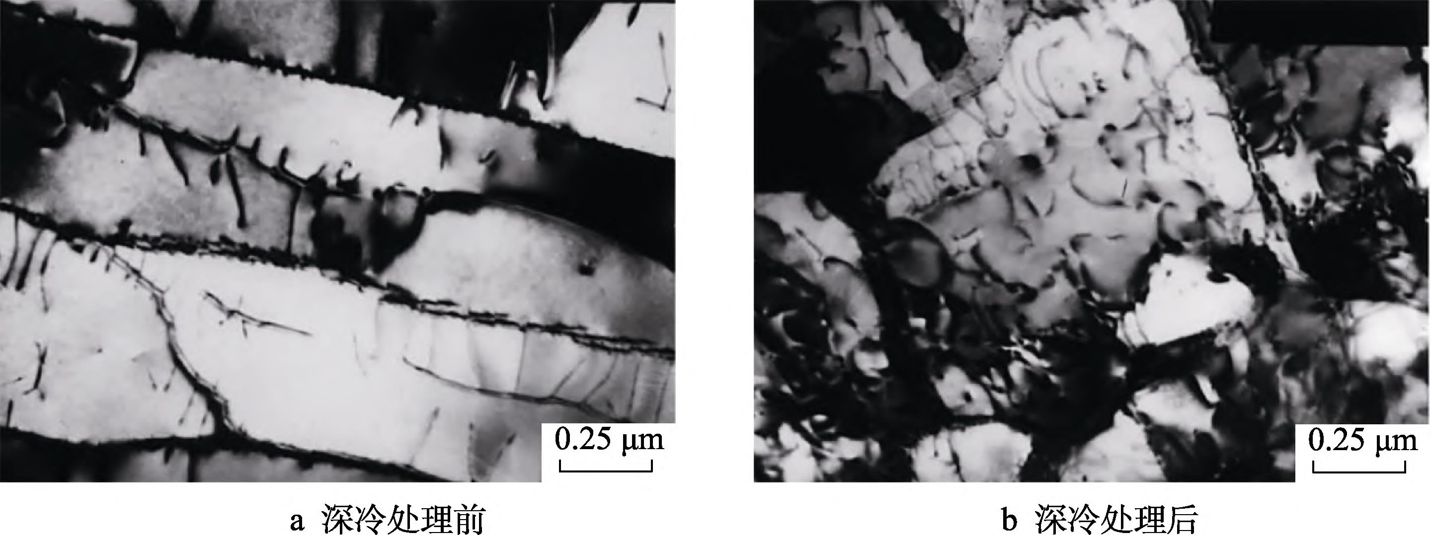 1709036556934193.jpg t9.jpg