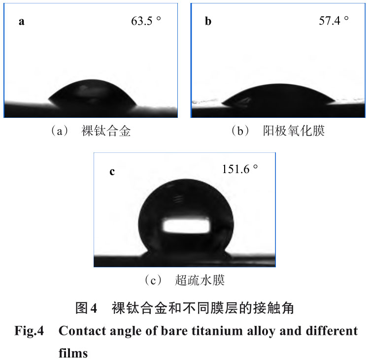 1709296673660311.jpg 4.jpg