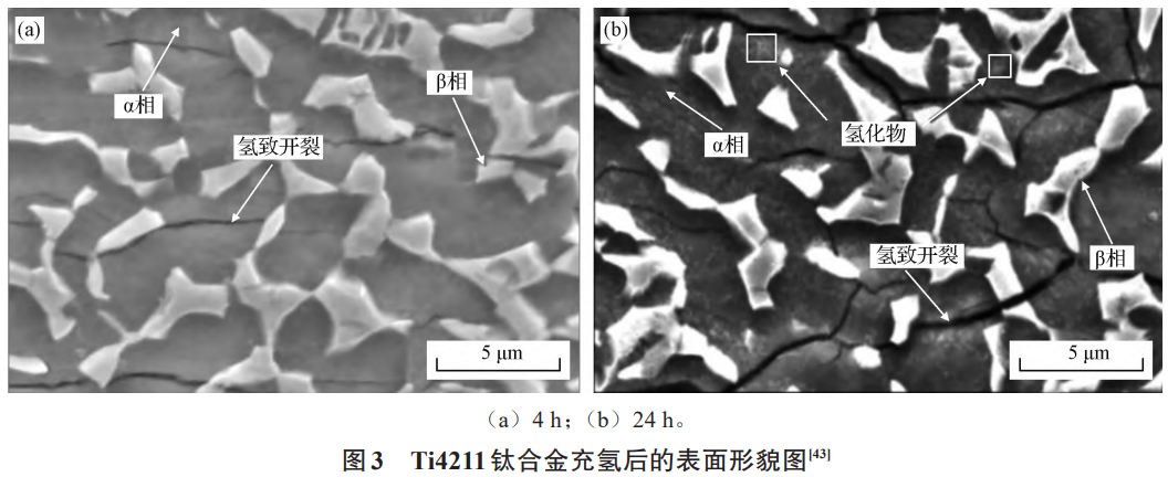 1735873628879759.png 截圖20250103110502.png