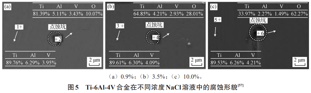 1735873649401367.png 截圖20250103110524.png