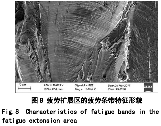 截圖20250214112738.png