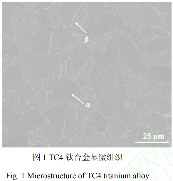 截圖20250225165719.png