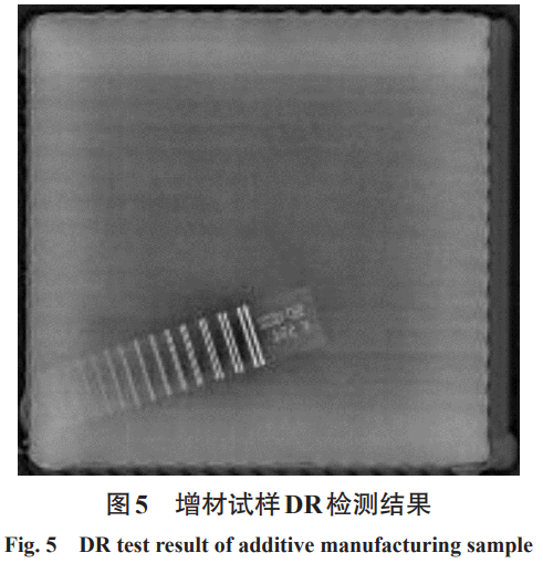 1744510236764309.png t5.png